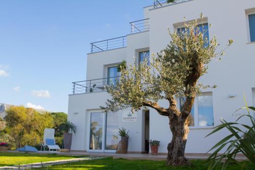 B&B Zabbara